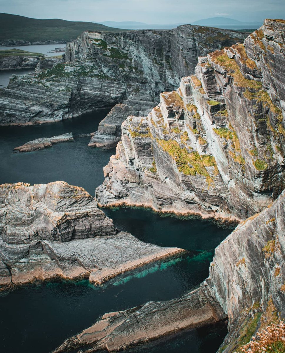 skelligexperie1's tweet photo. Photo of the week - A beautiful capture of the @kerrycliffs taken by @itsaroadmap ๐
#skelligexperience #kerrycliffs #wildatlanticway #visitkerry #discovery #keepdiscovering https://t.co/qGMPNRY9GM