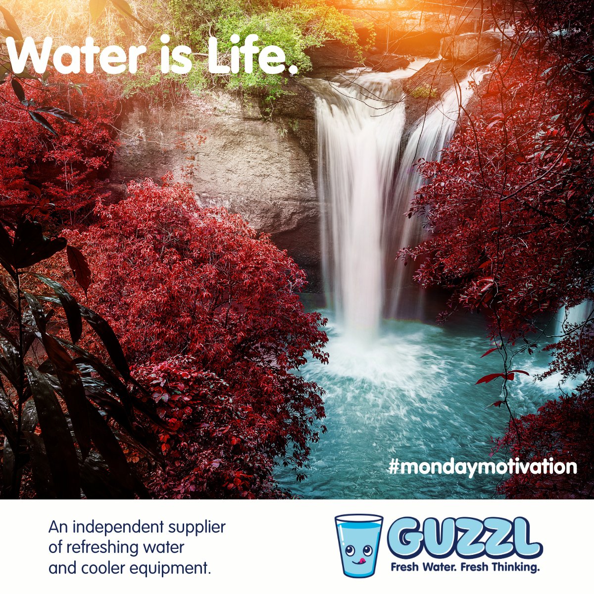 GuzzlWater's tweet photo. Hey Monday morning-ers! 

Don't let the start of your week burn you out – freshen up with a glass or two of water. 
It'll make all the difference! 
Water is life, after all...

#waterislife #water #drinkwater #hydrate https://t.co/bRjYoxuG67