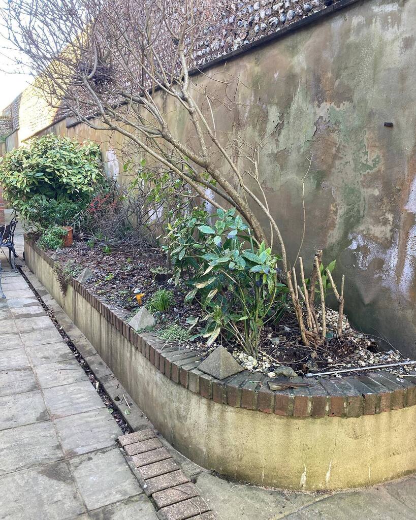 This is a work in progress. Shrubs need pruning. It needs raking out and additional planting then it will look good. 

Doing something is better than doing nothing at all-look at how it was left!

#gardenrenovation
#gardenmakeovers
#gardenmakeover
#ga… instagr.am/p/CnwHhKqMd9N/