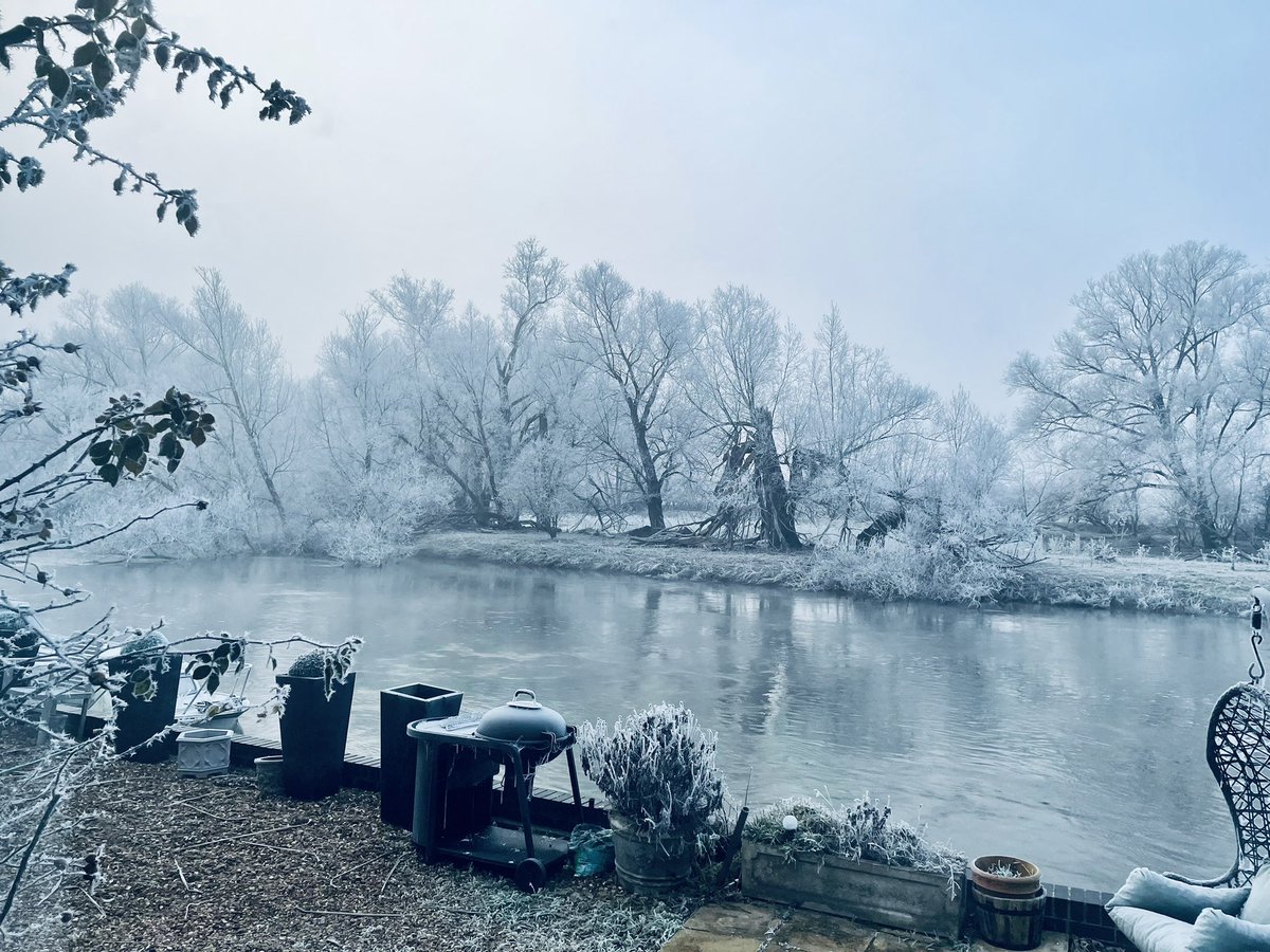 ANDY ELLISON tweet media