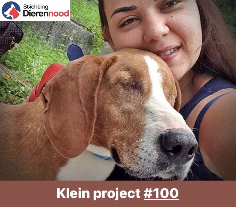 Stichting Dierennood tweet media