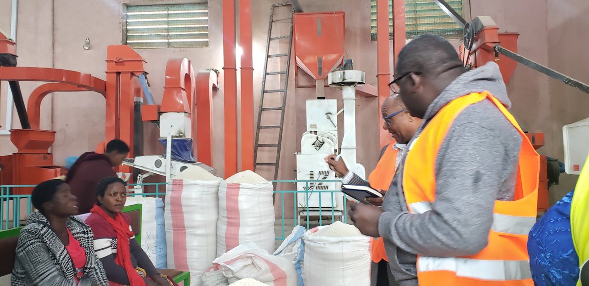 Visiting Raphael group in Tanzania for cross learning and how #smallholder farmers are included in their business model.... to ensure sustainable #familyincone