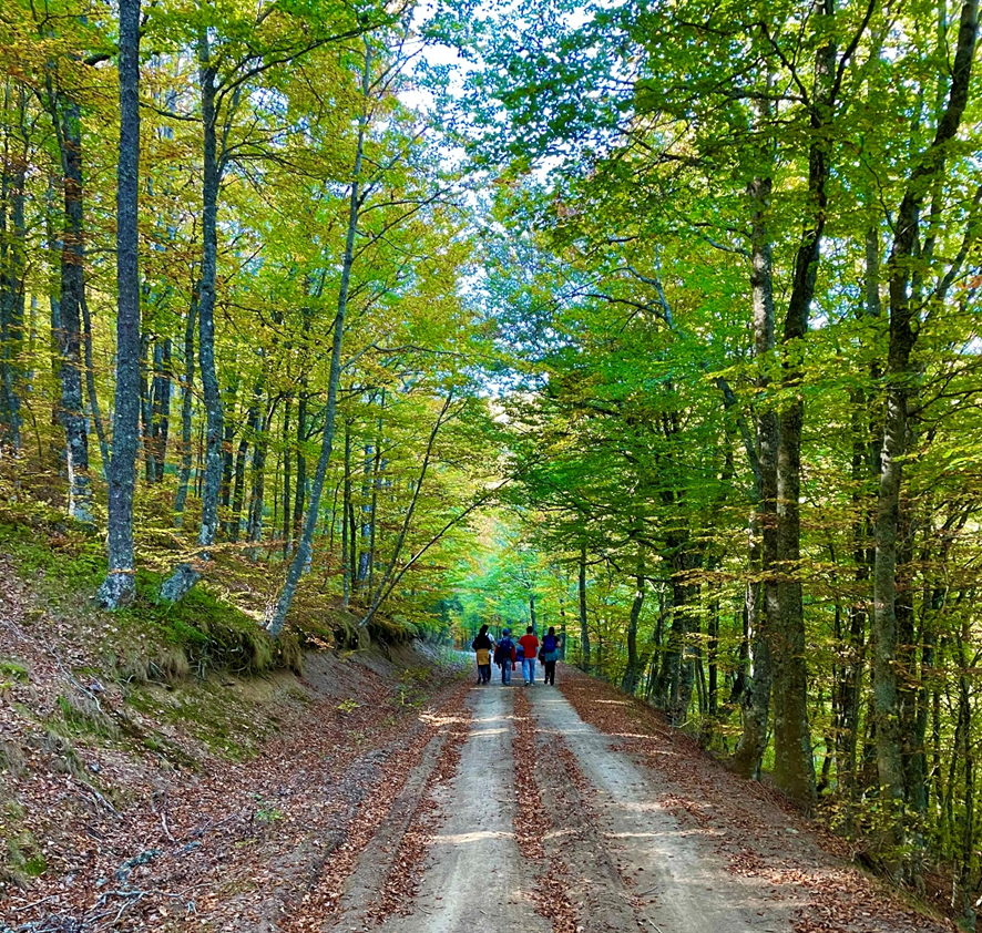 El director del área de #RecursosNaturalesyClima de <a href="/CARTIFCT/">CARTIF</a> <a href="/Rausan_CARTIF/">Raúl Sánchez</a> escribe en el blog acerca de la creciente necesidad del ser humano de estar en contacto con la #naturaleza y el bienestar que supone para nuestras vidas blog.cartif.es/recuperando-nu…

📸 <a href="/Rausan_CARTIF/">Raúl Sánchez</a>