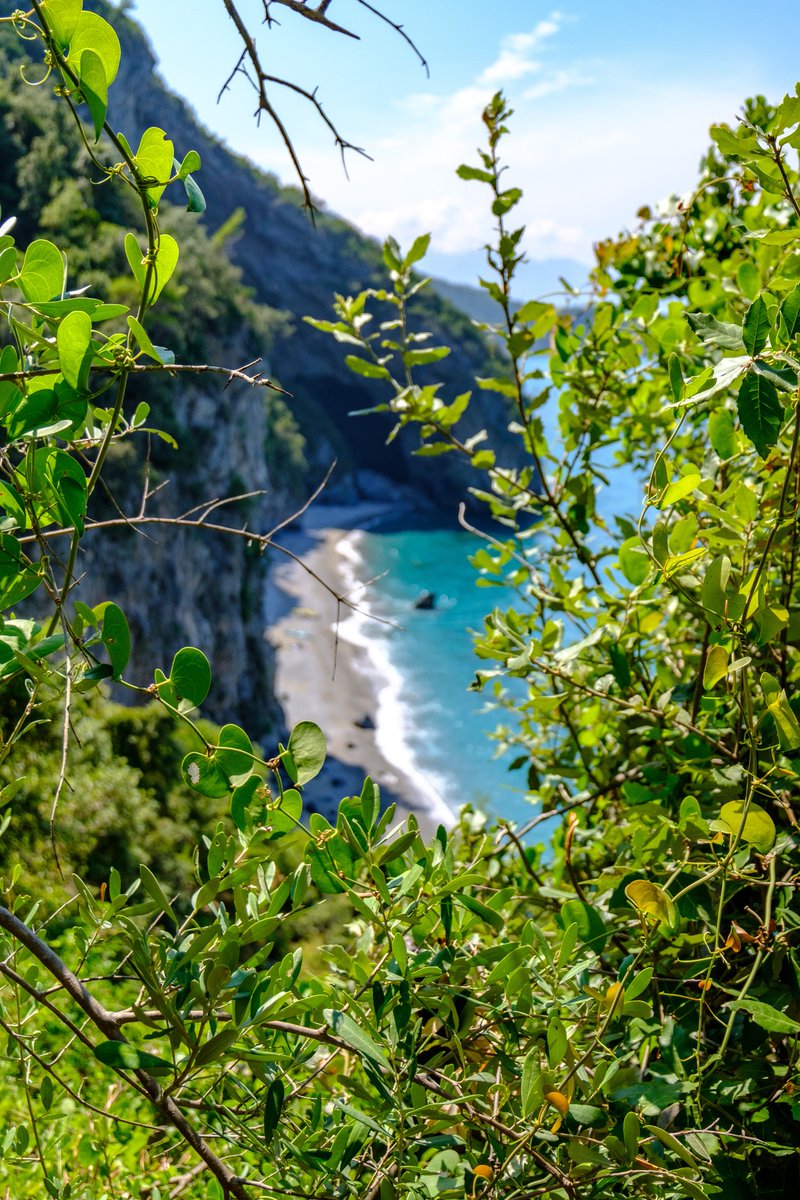 Chiliadou Beach, Evia is among the 5 finalists for the EUFCN Location Award 2022 🙌 show your love and cast your vote until the 31st January 2023 💙 📷 Anastasios Baltas
eufcn.com/location-award…
#AllYouWantIsGrece #VisitGreece #filming #location2022 #vote #Island  #Greece