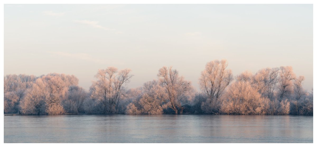 Frozen, Thrapston, Northamptonshire 
Nikon Z6 70-200mm f4 
#WexMondays #Sharemondays2023 #nenevalley #landscapephotography