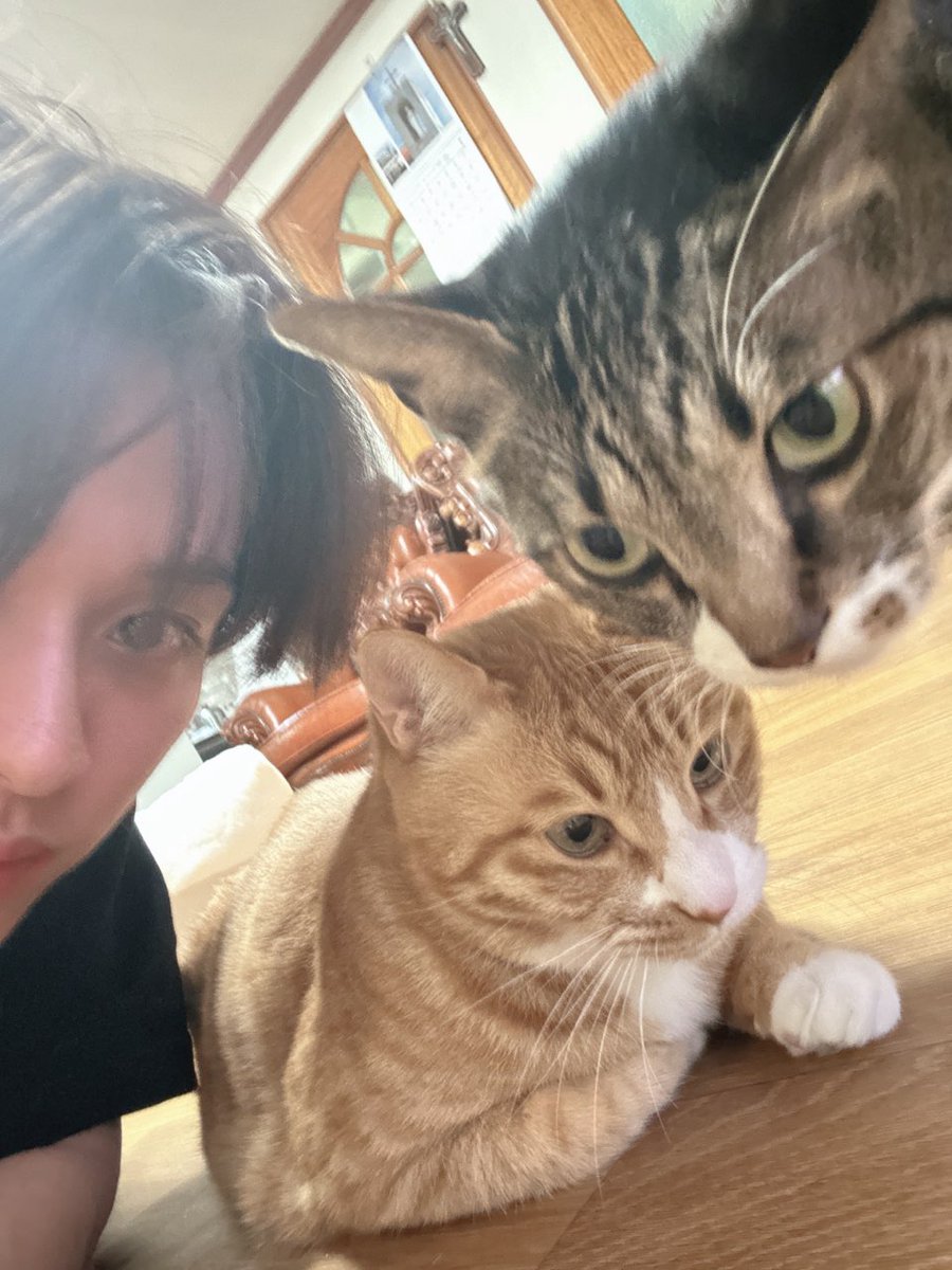 лyнu хaн | Looney Han ☾🐈‍⬛🐾 tweet media