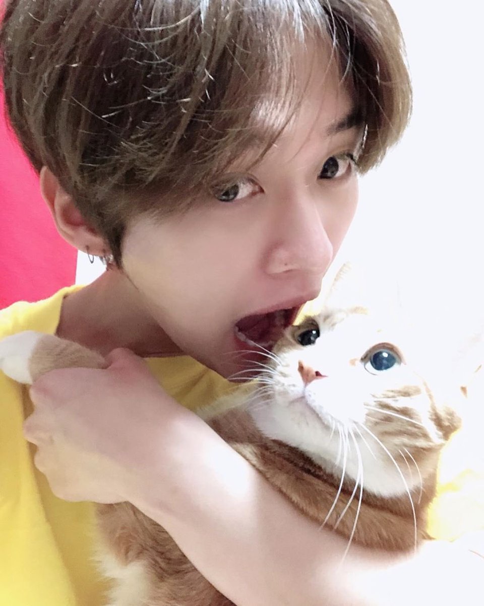 리노 퍼스널컬러
 < 본가 >