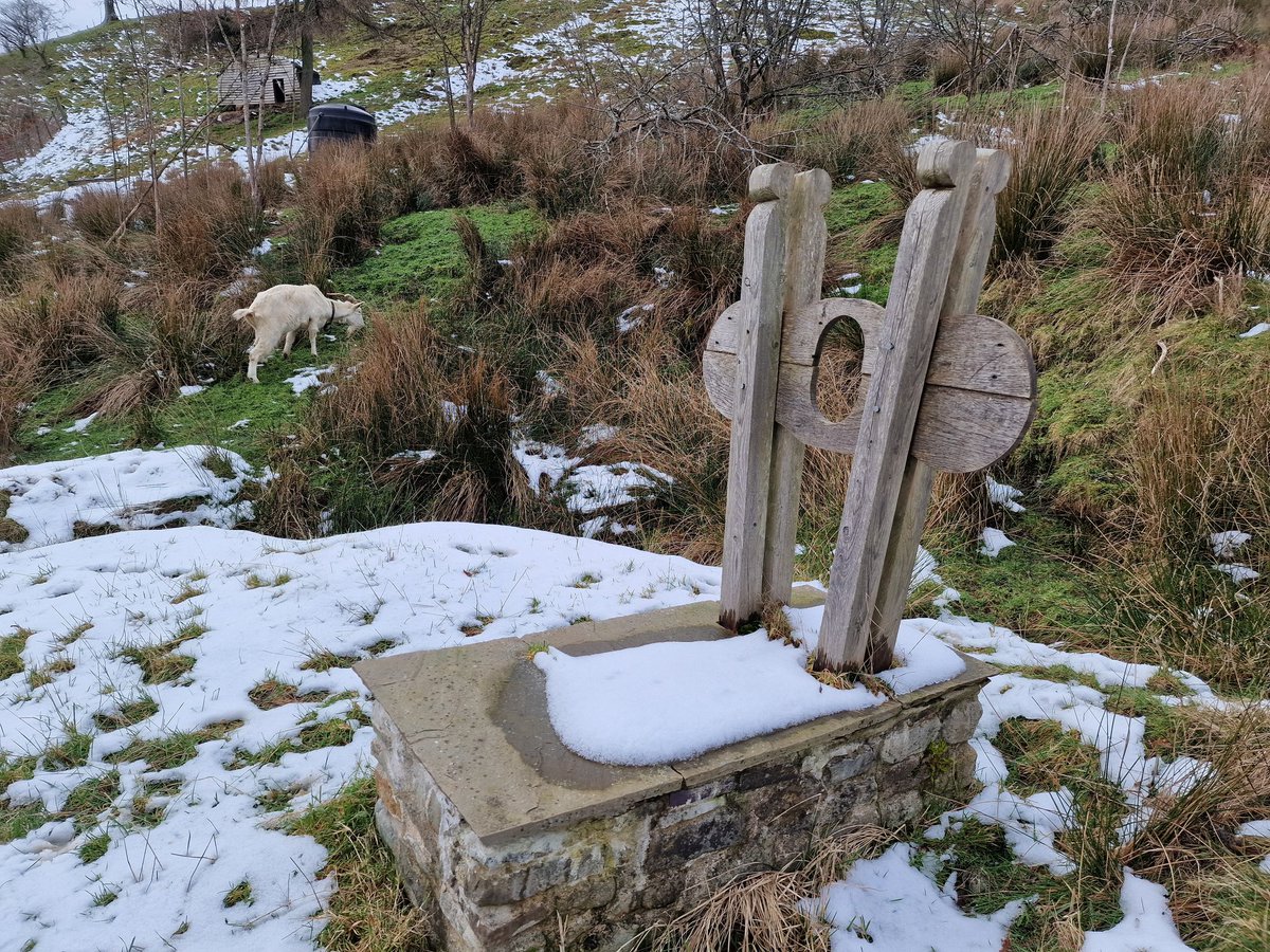 Another unusual object seeks ID. The clue might be the 🐐 in the background.