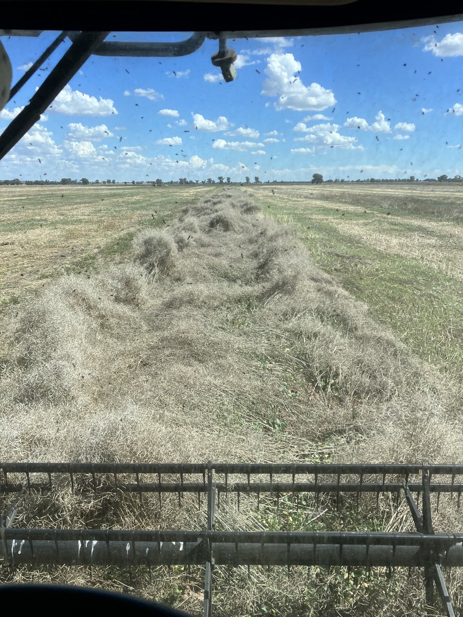 Andrew harding tweet media