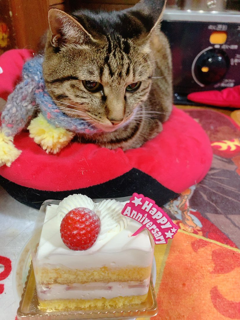 みんなお揃いのマフラー
お祝いケーキ