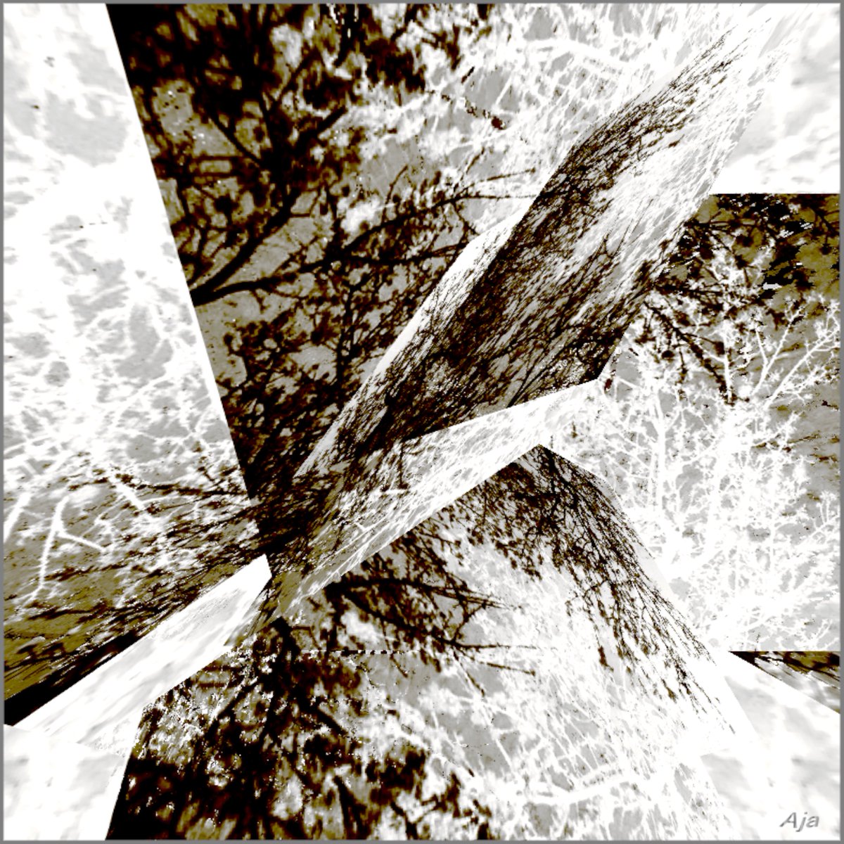 verselycon's tweet image. 