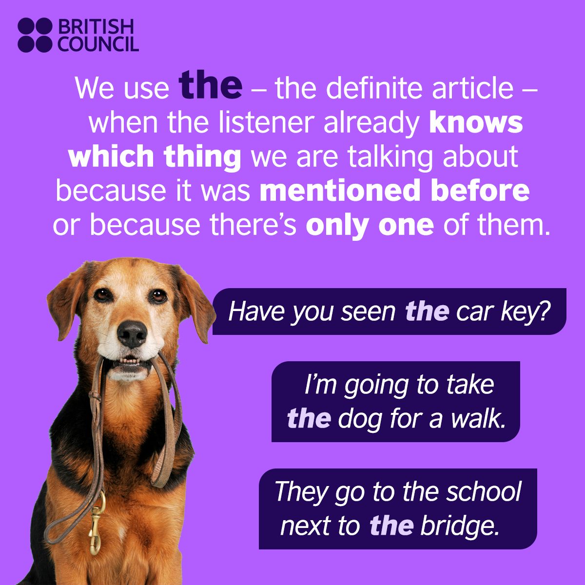 LearnEnglish On Twitter She Did MA In English Literature A A learnenglish-on-twitter-she-did-ma-in-english-literature-a-a