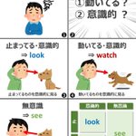 学校でも教えてほしい!lookとwatchとseeの違いを解説!