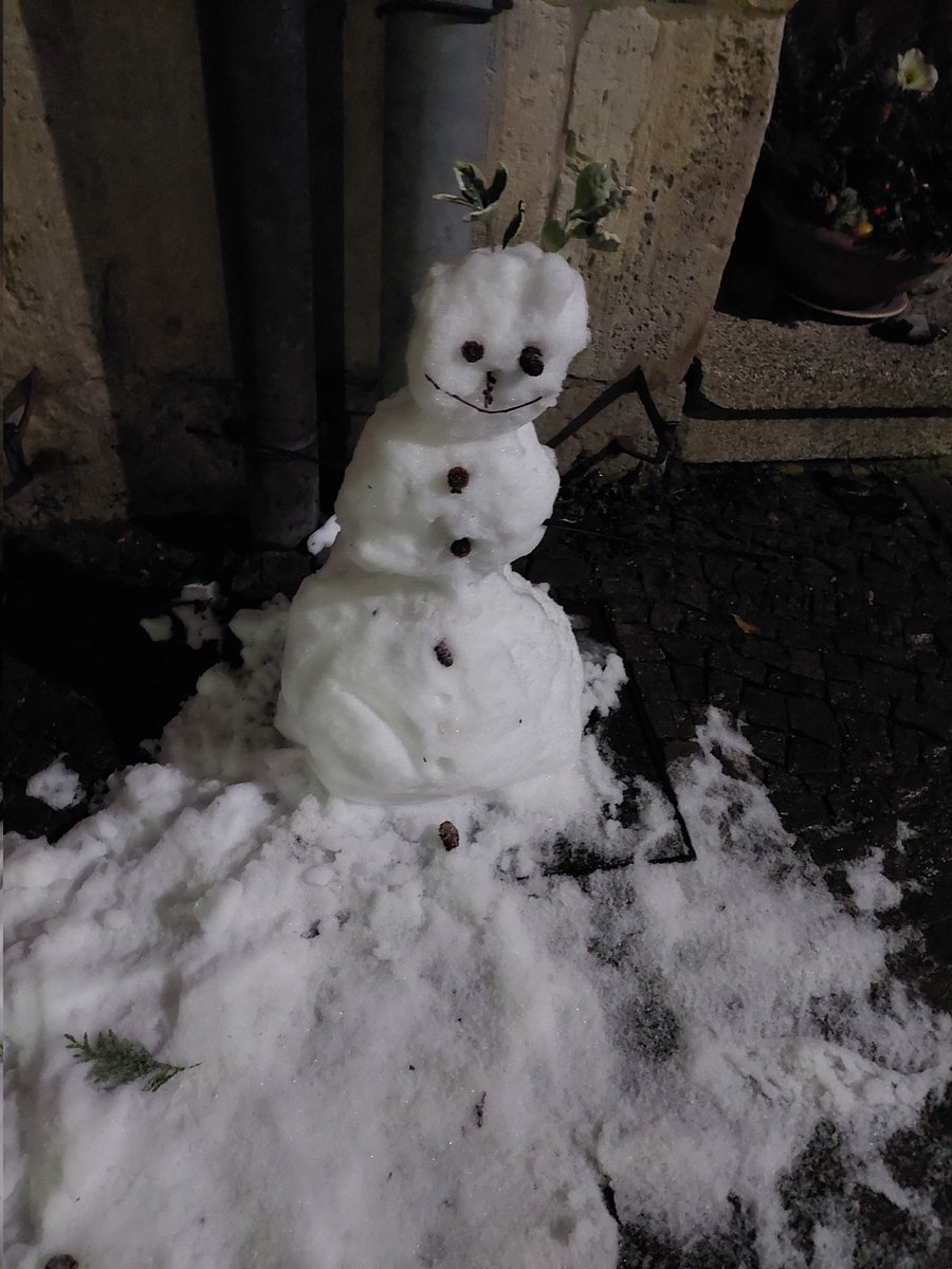 Yes...everything is fine...🙃