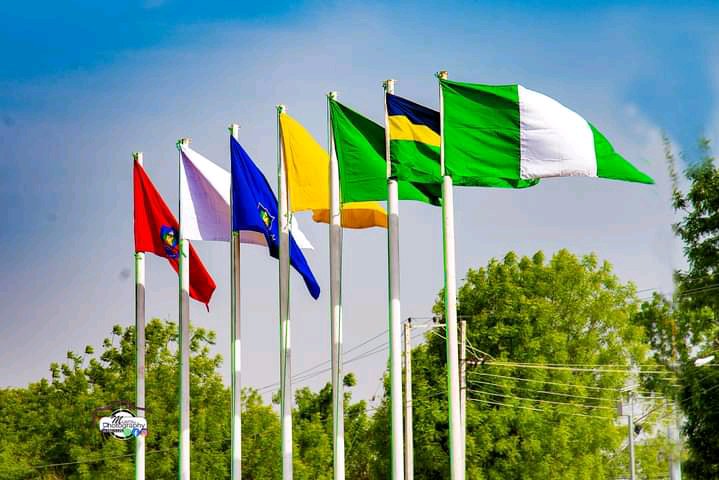 POLAC WUDIL tweet media