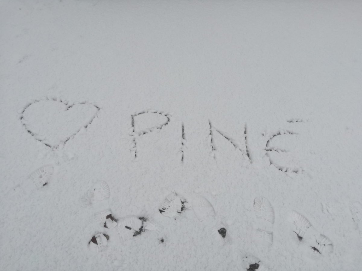 visitpine's tweet photo. Bollettino meteo di Piné? Neve a più non posso❄️💙😍 Preparate la slitta!....🛷🛷 e venite a trovarci 👉https://t.co/WEijZOu5UT 
#visitpinecembra #visittrentino https://t.co/tkReNE6uas