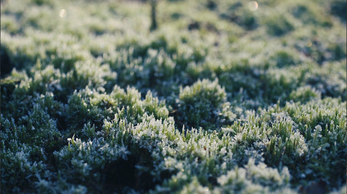 We headed out of the office for a frosty stroll to test out our new tilt-shift macro lens. It lets us adjust the perspective of the lens and we managed to get some really impressive shots. Success.

#filmmaking #photography #lens #lenstest #camera #cameraequipment #photoshoot