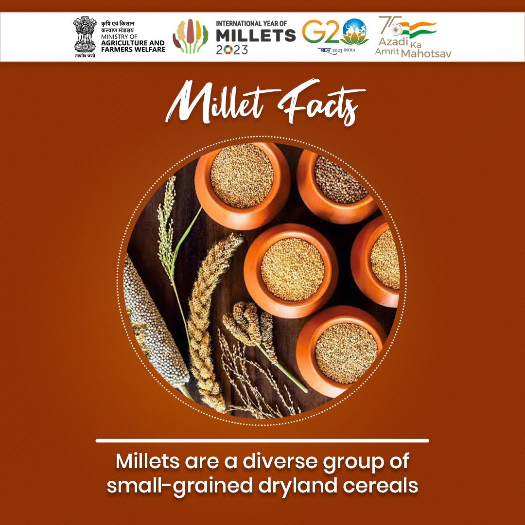 IndEmbassyBru's tweet photo. 2023 is the @UN International Year of Millets @IYM2023.
What are millets !?
Superfoods? Nutri-cereals, full of health benefits? Gluten-free? Climate -resilient crops? Sustainable food system?
Millets are all of that! #RichInHeritage #FullofPotential
Some facts👇 https://t.co/hG4phN2aGr