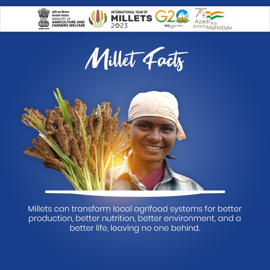 IndEmbassyBru's tweet photo. 2023 is the @UN International Year of Millets @IYM2023.
What are millets !?
Superfoods? Nutri-cereals, full of health benefits? Gluten-free? Climate -resilient crops? Sustainable food system?
Millets are all of that! #RichInHeritage #FullofPotential
Some facts👇 https://t.co/hG4phN2aGr