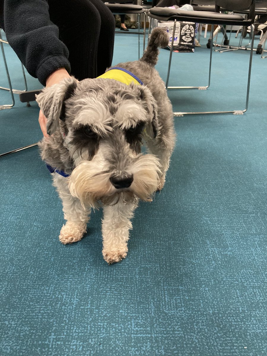 Dolomitidiva's tweet photo. @GWH_NHS @Kevin_McNamara1 happiness event well underway at GWH come and join the health and well-being team for a bit of pampering. Luna says Hi! https://t.co/kDl9qOESpy