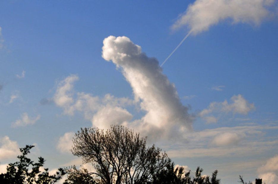 gaming_round's tweet photo. @TBomba61 *Dick cloud*... "I got this" https://t.co/4Oh4FXfTux