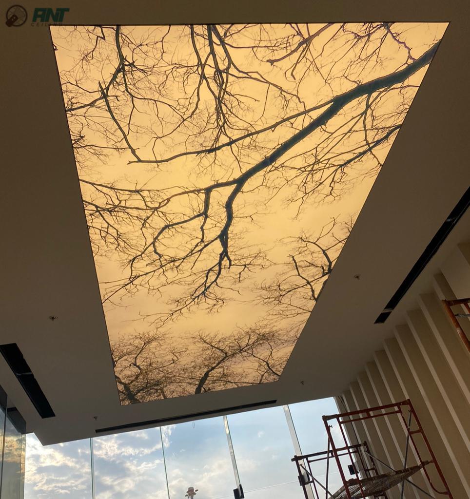 ANTceiling's tweet photo. من آخر أعمالنا
تسعدنا خدمتكم.. 0583179753 

#ديكورات_داخلية #أسقف_فرنسية #الرياض #stretch_ceiling #decor#design https://t.co/YaswN7HHKX