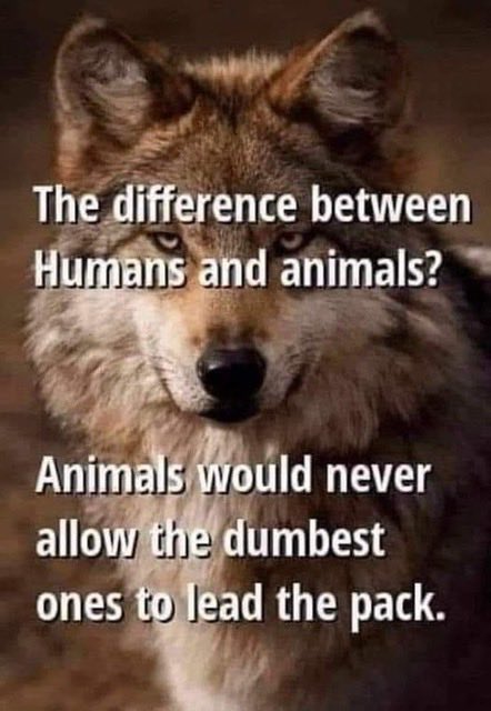 OntjaH's tweet photo. @MrTAchilles Yep https://t.co/OjLhxUxhNI
