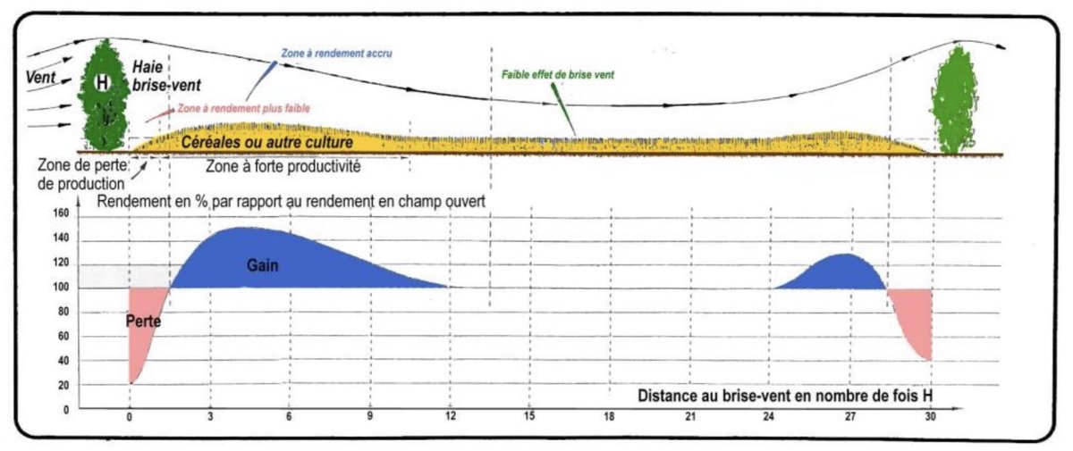 aestiv's tweet image. Et vous avez donc ce que vous gagnez plus loin ? #Missionhaies a fait des relevés en 2022 ds notre secteur : dans la #Dombes et dans le #plainedelain plutôt en cailloux. « C’est mieux que la théorie » et le général est là👇