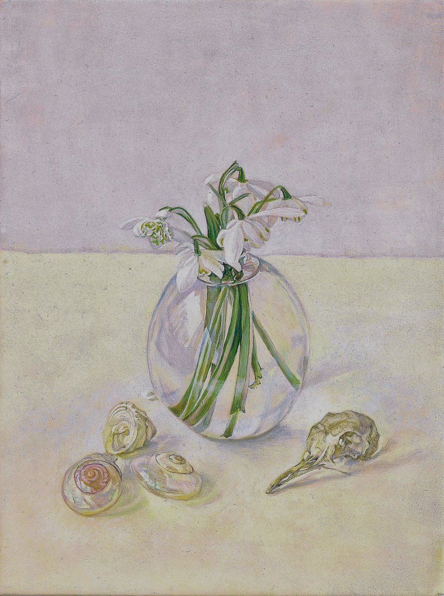 SarahMHarding's tweet photo. Paintings of snowdrops done over the years. #painting #snowdrops #eggtempera https://t.co/KG8cQFFPan