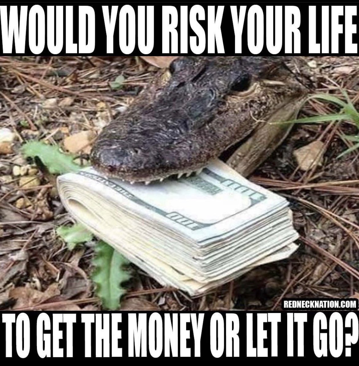 myolande70's tweet image. .@elonmusk wanna have some laughs in Spain🇪🇦⁉️...please recover @Alvisepf ASAP😉

#elonmusktwitter
#LetsFun