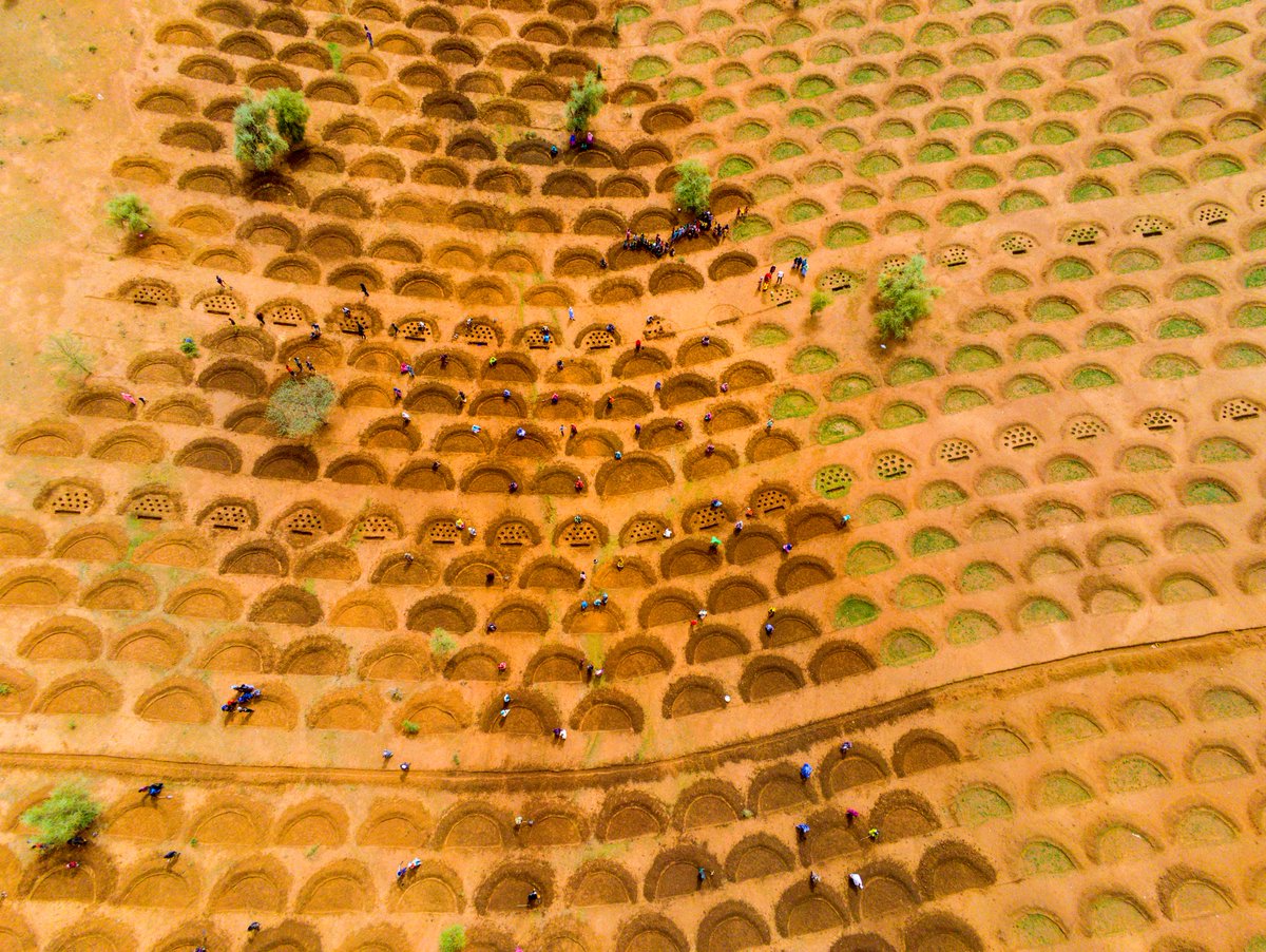 FIDAfriqueOuest's tweet image. Encourager les innovations abordables et facilement accessibles pour stimuler la production des petits exploitants ruraux, afin que ces derniers puissent être résilients face aux changements climatiques 🌧️.
#SD3C @g5sahel + #Senegal 
@leFIDA @FAOWestAfrica @WFP_Africa