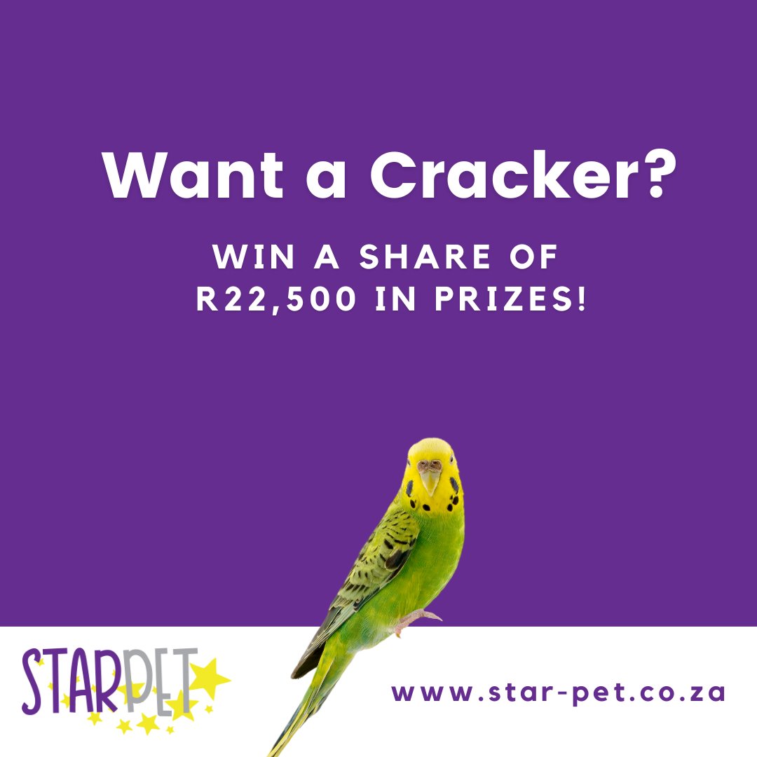 Support us & stand to win a share of R22,500 in prizes. Enter your pet in the Feb @StarPetSA competition Support us as we get 50% of the profits raised! #starpet #competition #givingback #donate #spreadthelove #petsrule #adoptdontshop #BrainyBirdsParrotRescue #AbsolutePets