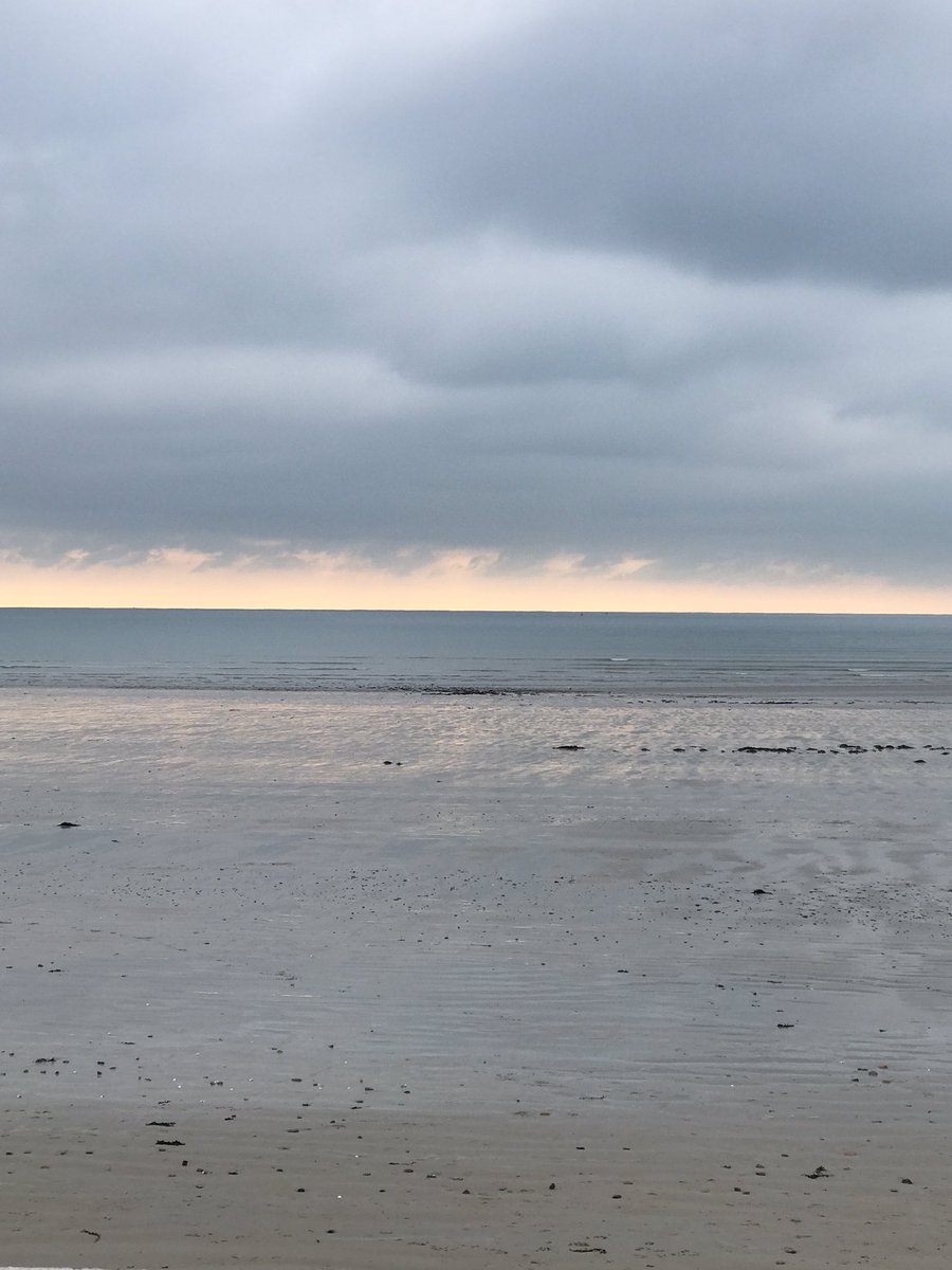 El paseo de hoy. #briskywalks