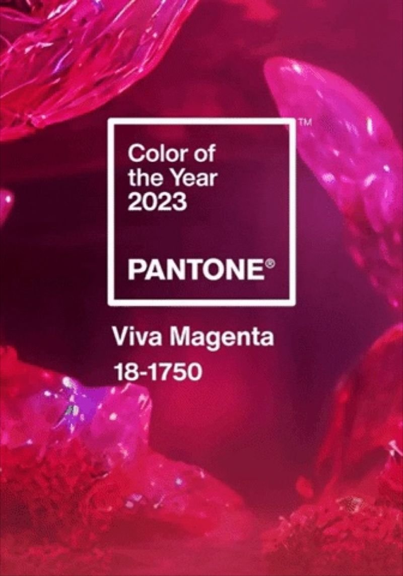 Estibi31's tweet image. Bello color. #pantone2023 #pantone #design