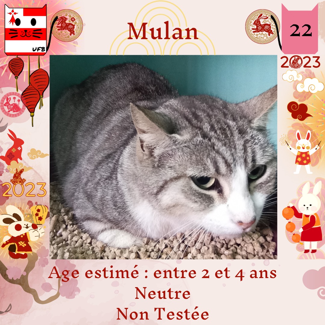 justineducern's tweet photo. Nos 4 petits protégés attendent toujours de trouver une famille aimante pour la vie! 😻
Alors si vs pensez être cette dernière, si vs avez un coup de coeur pour l'un d'entre eux, 
venez vers ns en Message Privé pour adopter !💌
Pour les aider, partagez,  commentez cette p
UFB https://t.co/huRQYFzF0a