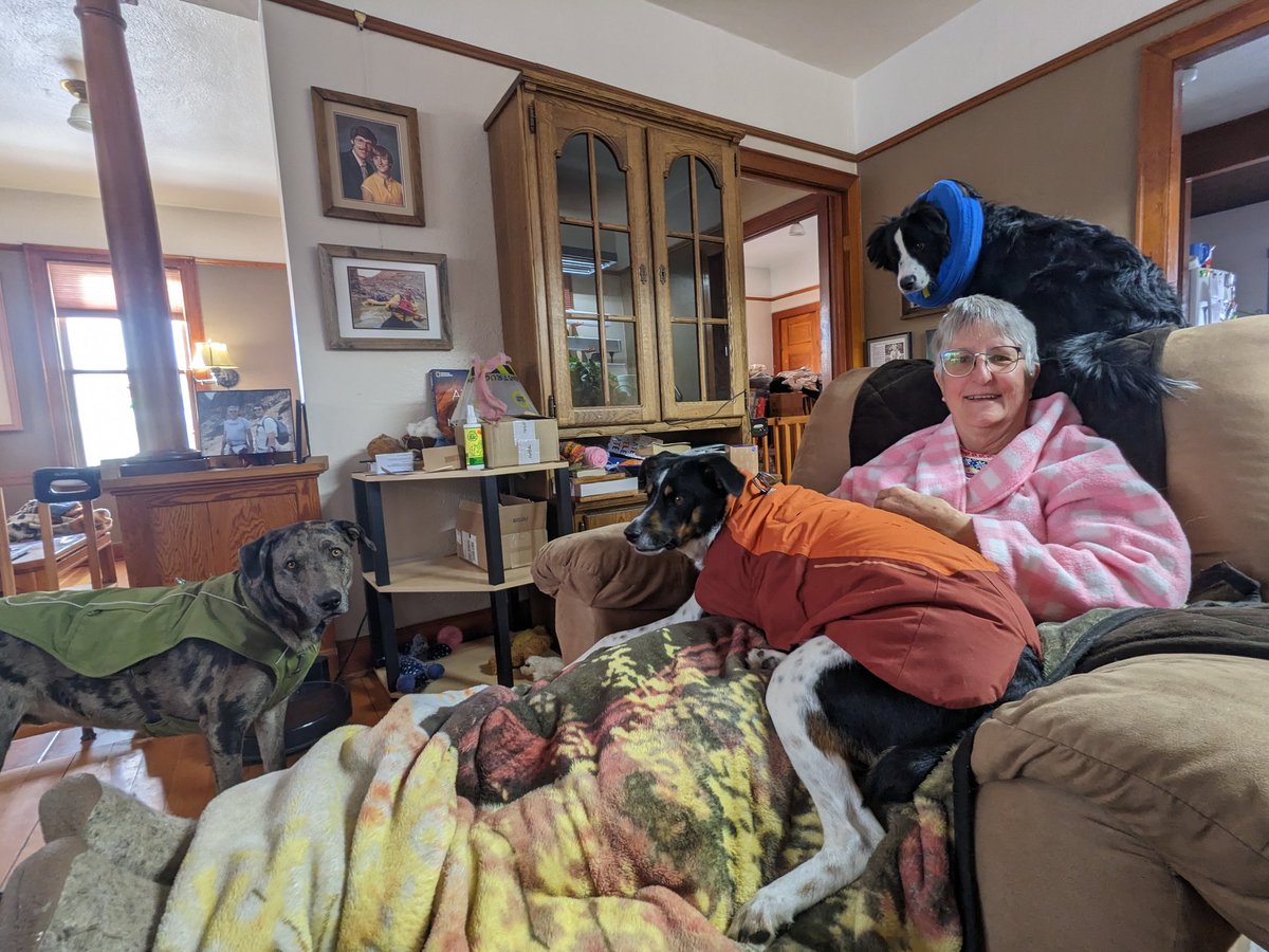 Shoggy Is Not Dead (@shoggyseldom) on Twitter photo 