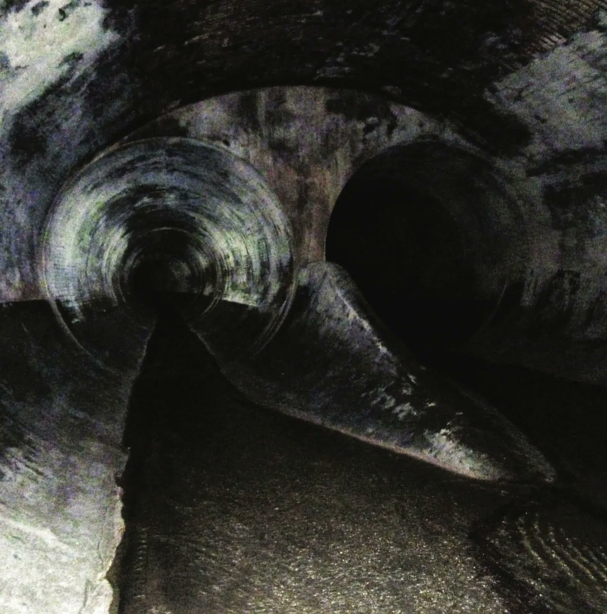 LoudAndQuietMag's tweet image. You&apos;ve not heard a voice-based album quite like the @eleni_ikon-curated collection Future Chorus before – out this week via @hypermedium_org: buff.ly/3ZUAVK5