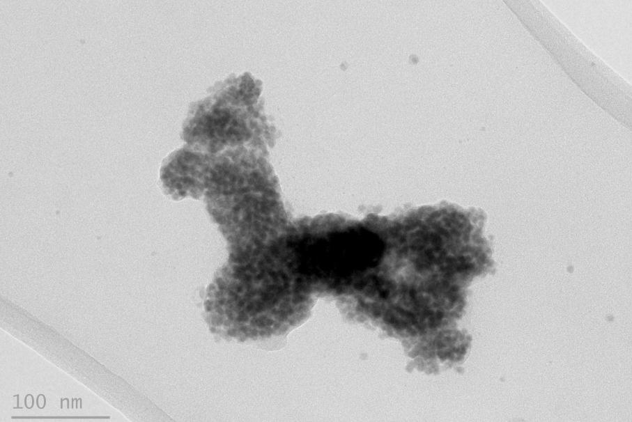 #ImageoftheDay ~ "Nano-Llama" High-Resolution Image of CuAgSe nanoparticles. Credit: Beatriz Vargas, LENS group at Universitat de Barcelona. JEOL JEM-2100 TEM. <a href="/LENS_UB/">LENS-Laboratory of Electron Nanoscopy</a> and <a href="/ccitub/">CCiTUB</a> thank you for submitting to the 2023 JEOL Image Contest! #microscopy