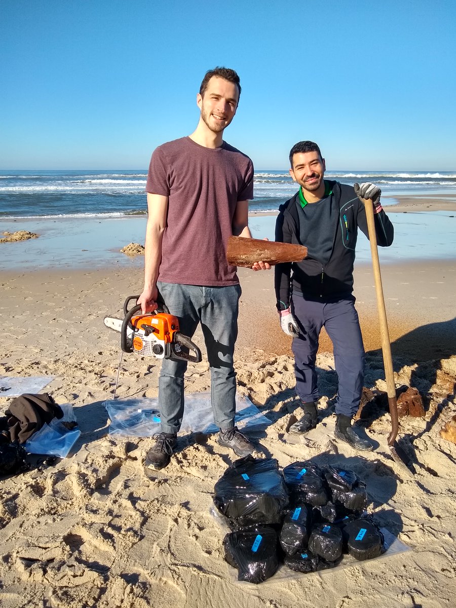 ERC_RESOLUTION's tweet photo. First #RESOLUTION trip of the year to Portugal for the @ERC_Research to find new #fossil #trees. Very successful trip! First day 6 new trees as well as the second day! Well done, guys!!! Wonderful job of @PedroEGHorta Michael #Friedrich and Michael #Thomas! #radiocarbon #IntCal https://t.co/Q1pdK4K9Oh