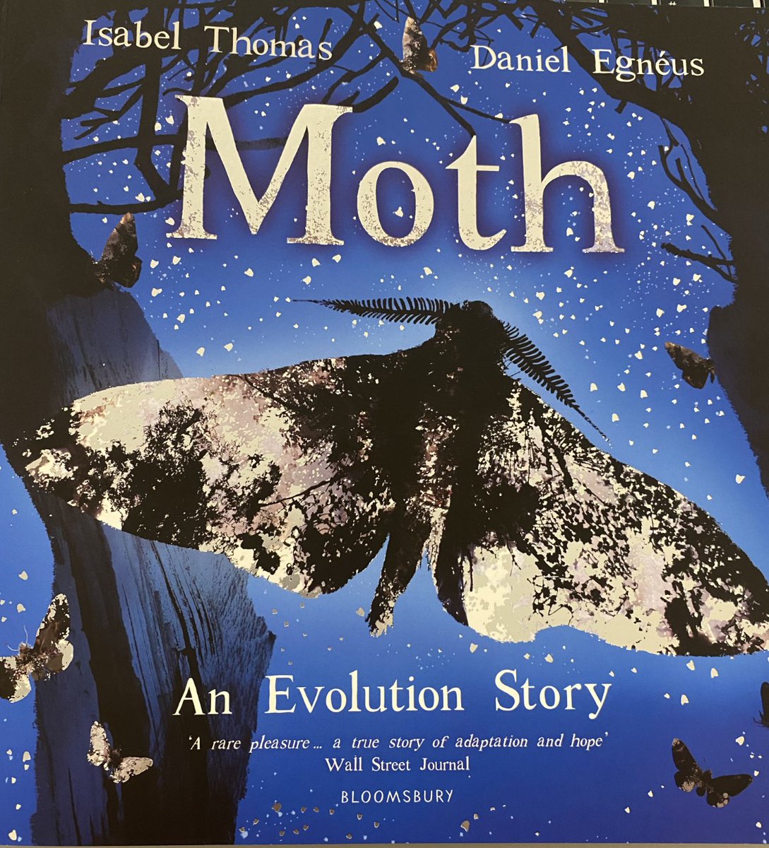 GeorgeSpicerSch's tweet image. As part of their Science unit, on Evolution and Inheritance, Y6 explored this wonderful picture book by @isabelwriting. We looked at how humans impact the world around them. We plan to write poems based on the peppered moth later this week. #spicerspirit #adaption #science