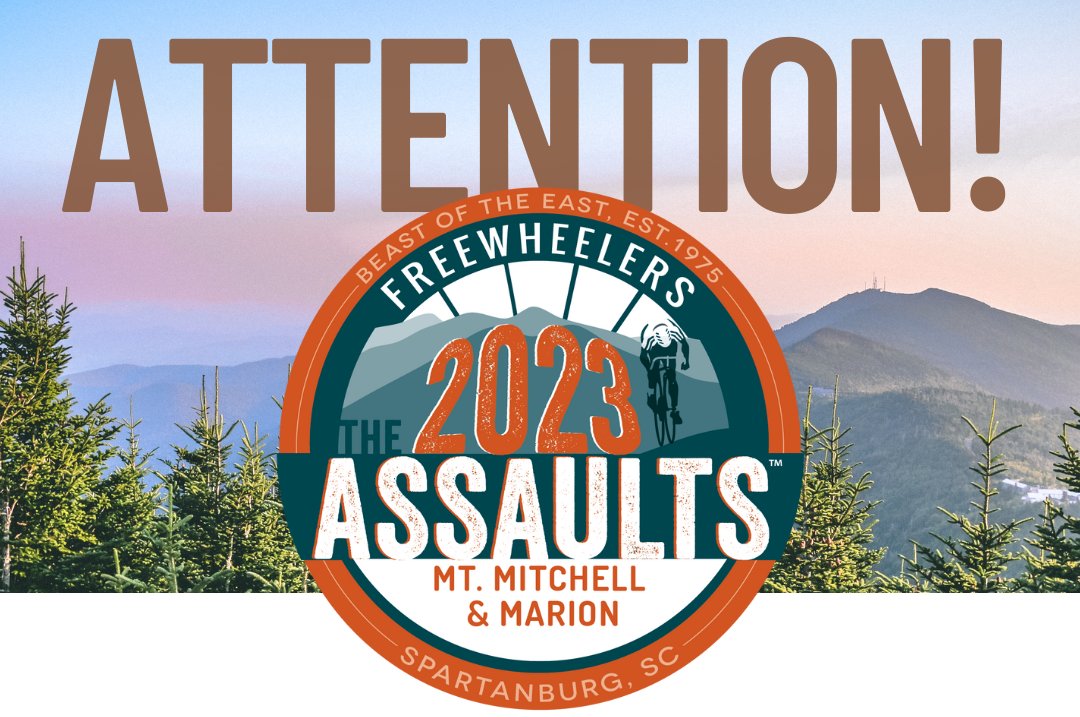 The Assaults tweet media