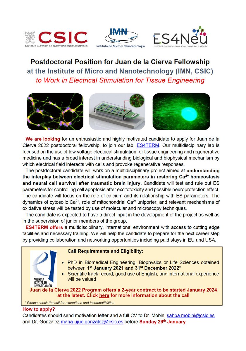 Are you willing to do your #postdoc in #Spain at <a href="/CSIC/">CSIC</a> <a href="/ImnCsic/">Instituto de Micro y Nanotecnología (IMN-CNM,CSIC)</a> ?
Are you looking for a #fellowship opportunity? 
Are you interested in neural tissue survival and electrical stimulation? ⚡️🧠👩‍🔬👨‍🔬🤓 
check out this call!👇