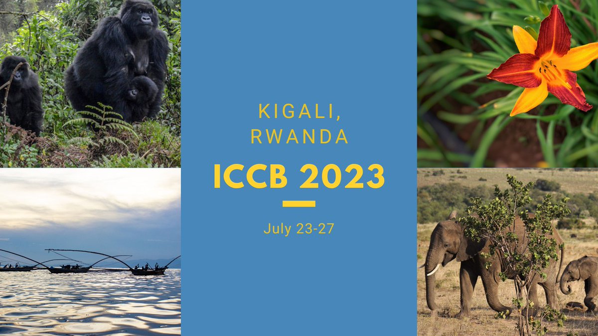 About International Congress for Conservation Biology SCB's 31st International Congress for Conservation Biology (ICCB 2023) -&gt; July 23-27, 2023 in Kigali, Rwanda at the Kigali Convention Centre.
ICCB is the premier global meeting for conservation scientists and professionals...
