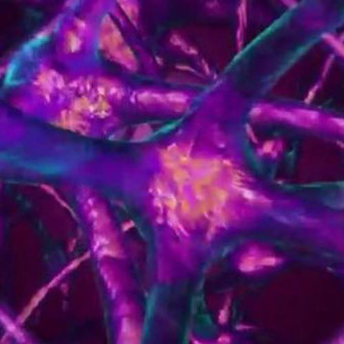 “i literally told you yesterday”

Me: