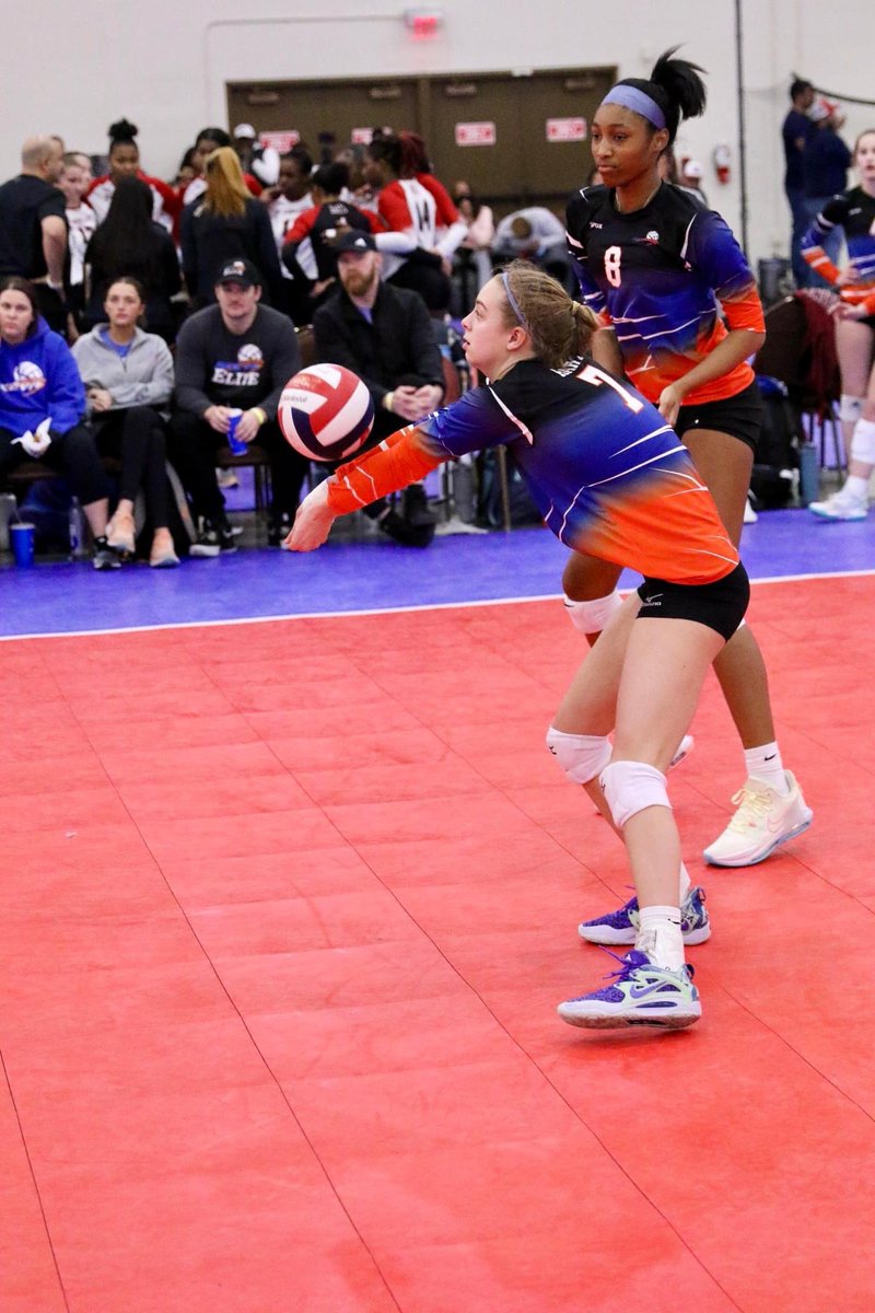 Addison Hart tweet media