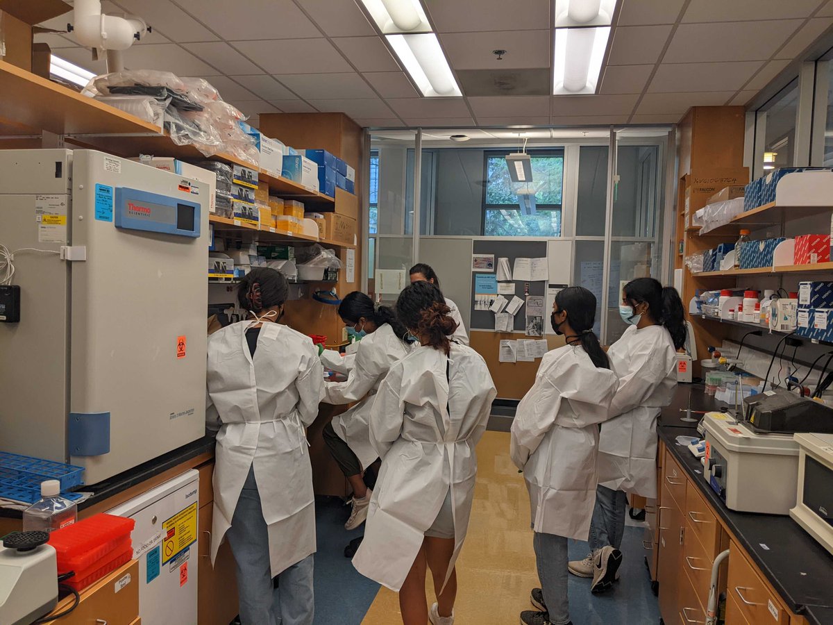 WinSPIRE UNC tweet media