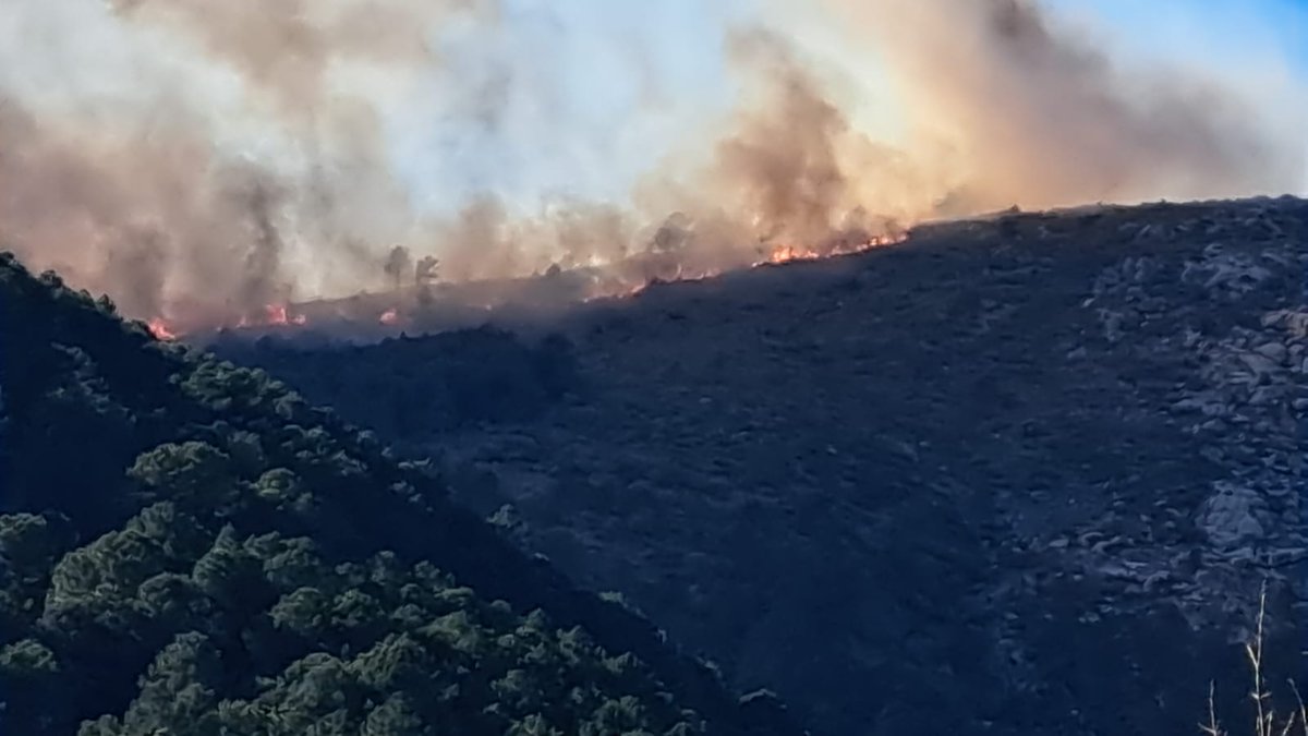 Juan13Navarro's tweet photo. "Los incendios se apagan en invierno", decían. Nada cambia. El #IFGuisando (Ávila) avanza mientras el dispositivo de Castilla y León, según @BBFFLuchaCyl "está al 5% de lo que sería en verano" y se apoya en el @mitecogob.
Conté la situación hace unos días.
https://t.co/TCM9d2lSoe https://t.co/dwcEDRbpQ8