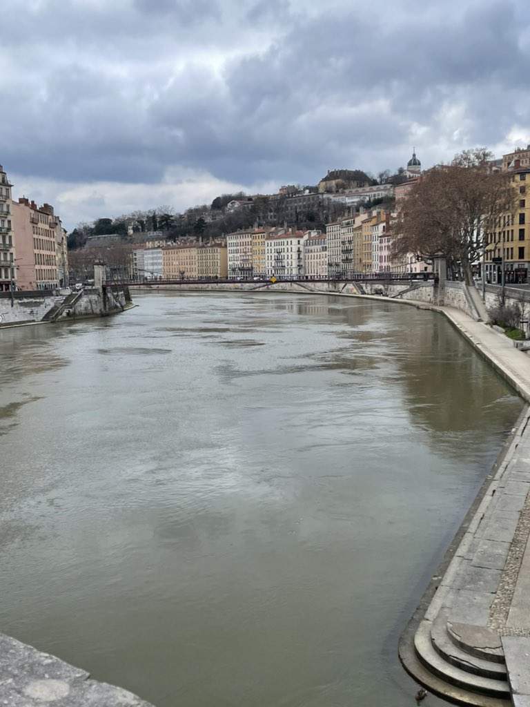 Labitori's tweet photo. Un par más de Lyon y no jodo más. https://t.co/KwQvg2qHqF