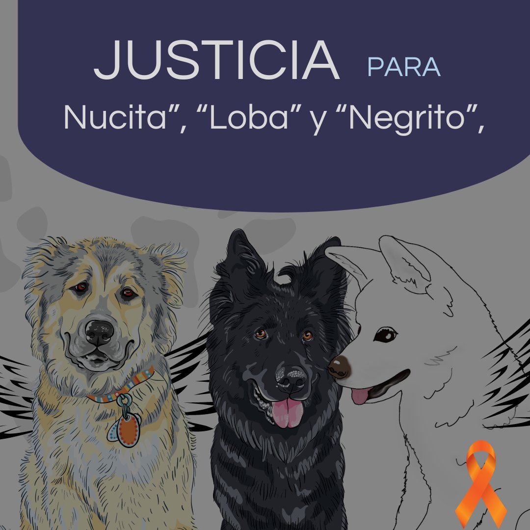 JUSTICIA par "Nucita”, “Loba” y “Negrito”. Envenenar a un animal es penado por la ley. Pero es lo más cruel que se le puede hacer a un animal.