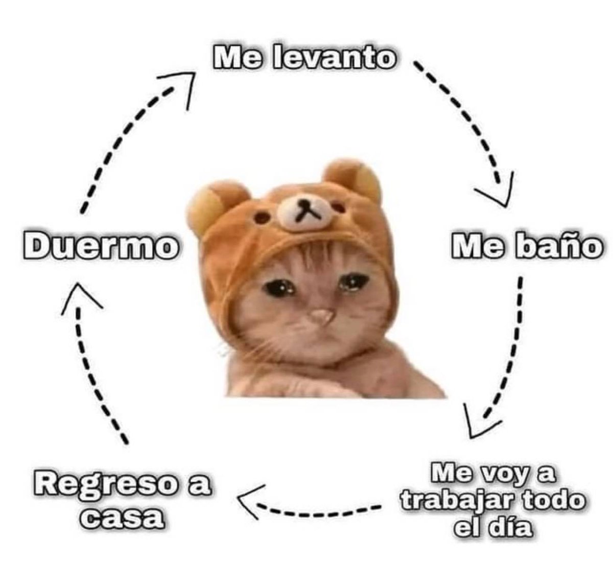 Guarromantico_'s tweet photo. https://t.co/Nr2vXsA4Af